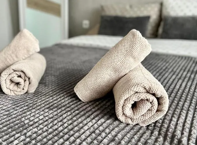 Апартаменты Comfy & Stylish *